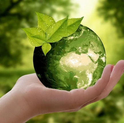 geobiologie