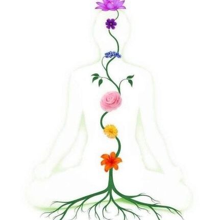 meditation_olfactive