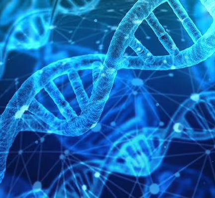 epigenetique-