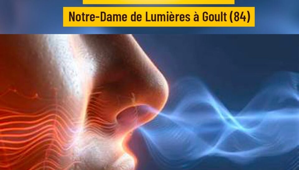 article_4